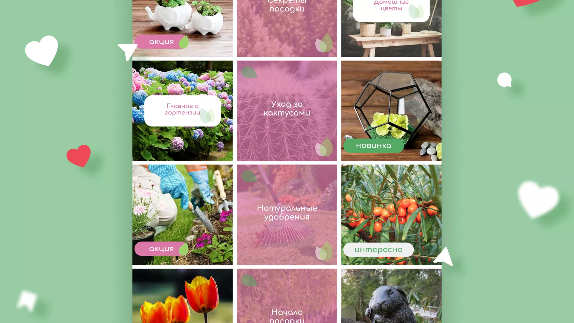 Разработка оформления профиля Instagram для магазина «Floraint» в Находке