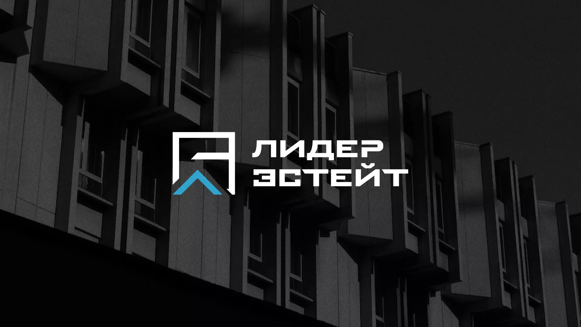 Разработка логотипа агентства недвижимости «Лидер Эстейт» в Находке